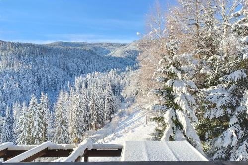 bergkristall_aussicht_winter_1